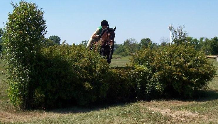 Hedge Jump