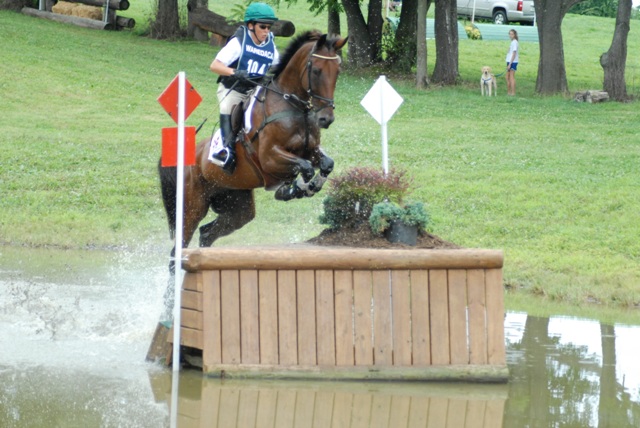 cross country jumping horse. on cross country, jumping