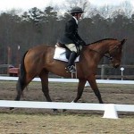pipercub_trot