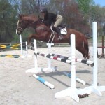 Fleet BWR Oxer