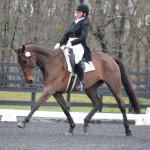 Who's a Star Trot Extension - Eventing Nation Photo