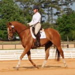 Jerry Dressage