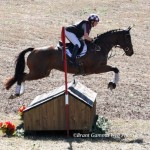 Finest Hour - XC Brant Gamma Photo