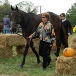 Who's a Star - 1st Horse Insp. - FHI 2013 - Retread Eventer Photo