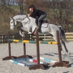 Silver Bullet Green Oxer