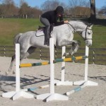 Silver Bullet Green Oxer 3