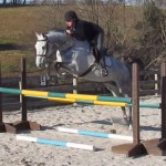 Silver Bullet Green Oxer 4