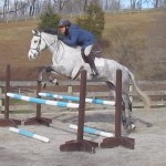 Northern Quest Blue Oxer
