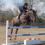 Doug's Pride Vertical