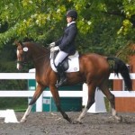 Fernhill Caheragh Dressage