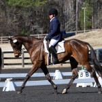 Sport Trot Poplar Jan 2014 - WNC Photo