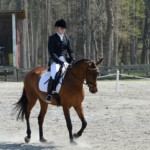 Silver Slipper Dressage