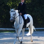 Shiny Dressage