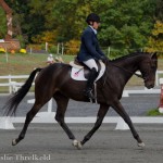 Valley 4 yo YEH Dressage - US Eventing Association / Leslie Threlkeld Photo