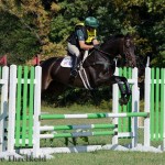 Valley 4 yo YEH Jumping - US Eventing Association / Leslie Threlkeld Photo