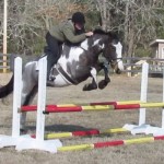 Paisley Red and Yellow Oxer