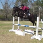 Arlo Blue Oxer