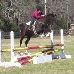 Arlo Red Yellow Oxer