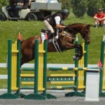 Lusi SJ Green & Yellow Oxer