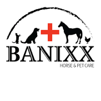 Banixx