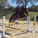 Delgado Yellow and Green Oxer