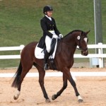 Perfect Enough Trot - Brant Gamma Photo